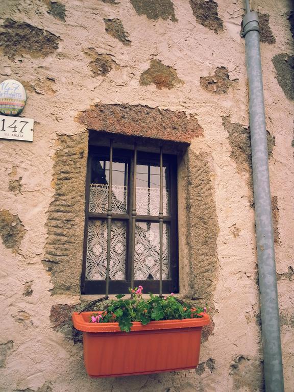 La Casa Di Adelina Appartement Vivo dʼOrcia Buitenkant foto